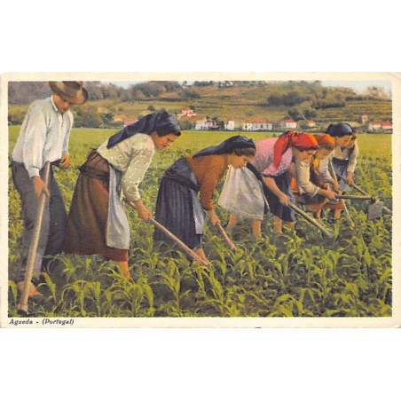 Rare collectable postcards of Portugal. Vintage Postcards of Portugal