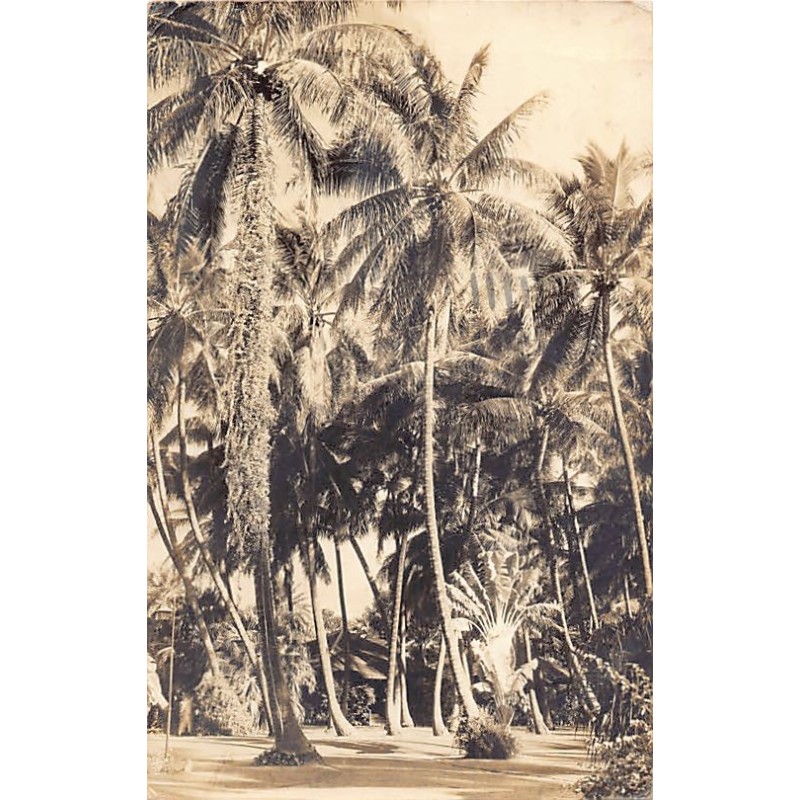 Rare collectable postcards of HAWAII. Vintage Postcards of HAWAII