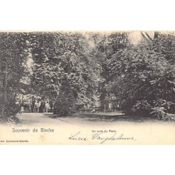 Rare collectable postcards of Belgium. Vintage Postcards of Belgium