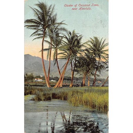 Rare collectable postcards of HAWAII. Vintage Postcards of HAWAII