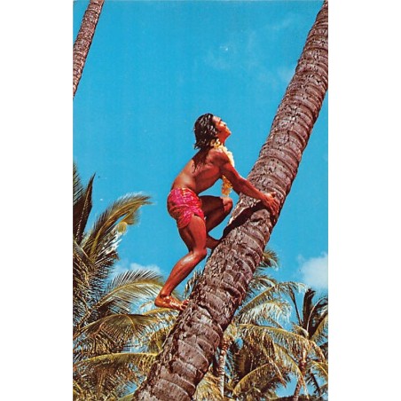 Rare collectable postcards of HAWAII. Vintage Postcards of HAWAII