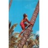 Rare collectable postcards of HAWAII. Vintage Postcards of HAWAII