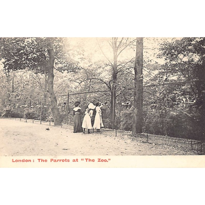 Rare collectable postcards of United Kingdom - England. Vintage Postcards of United Kingdom - England