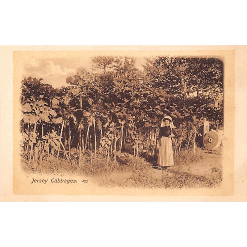 Rare collectable postcards of United Kingdom - Jersey. Vintage Postcards of United Kingdom - Jersey