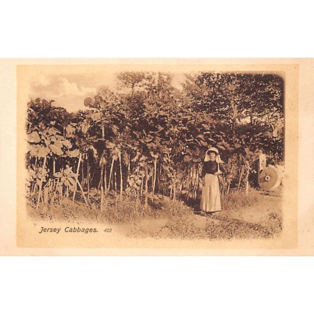 Rare collectable postcards of United Kingdom - Jersey. Vintage Postcards of United Kingdom - Jersey