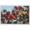 Rare collectable postcards of NEW CALEDONIA. Vintage Postcards of NEW CALEDONIA