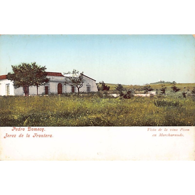 Rare collectable postcards of Spain. Vintage Postcards of Spain