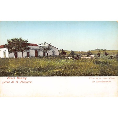 Rare collectable postcards of Spain. Vintage Postcards of Spain