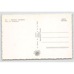 Rare collectable postcards of NEW CALEDONIA. Vintage Postcards of NEW CALEDONIA