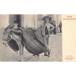 Rare collectable postcards of Spain. Vintage Postcards of Spain