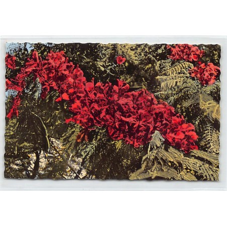 Rare collectable postcards of NEW CALEDONIA. Vintage Postcards of NEW CALEDONIA