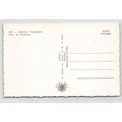 Rare collectable postcards of NEW CALEDONIA. Vintage Postcards of NEW CALEDONIA