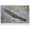 Rare collectable postcards of NEW CALEDONIA. Vintage Postcards of NEW CALEDONIA