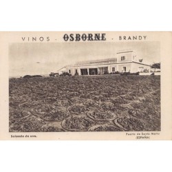 Rare collectable postcards of Spain. Vintage Postcards of Spain