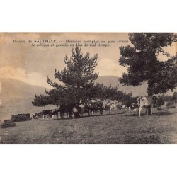 Rare collectable postcards of Spain. Vintage Postcards of Spain