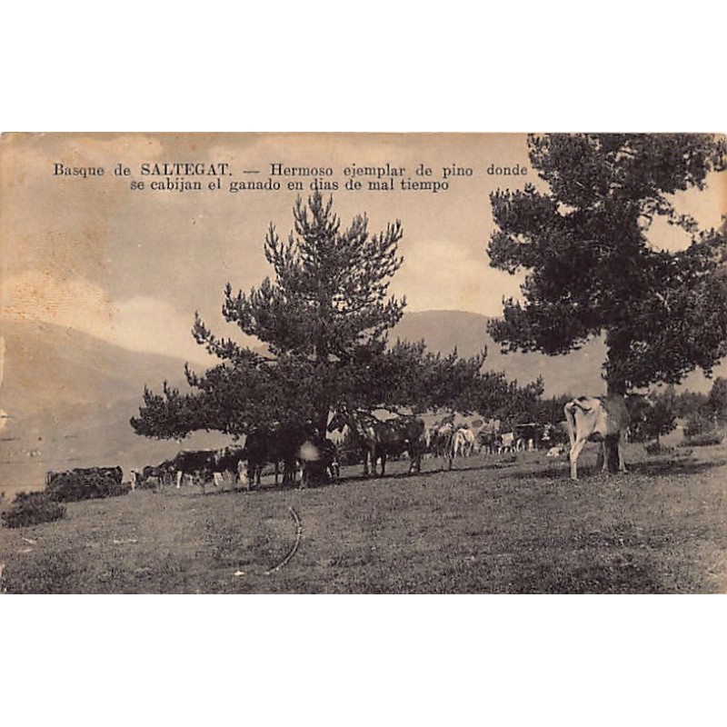 Rare collectable postcards of Spain. Vintage Postcards of Spain