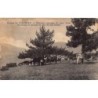 Rare collectable postcards of Spain. Vintage Postcards of Spain
