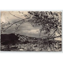 Rare collectable postcards of Spain. Vintage Postcards of Spain