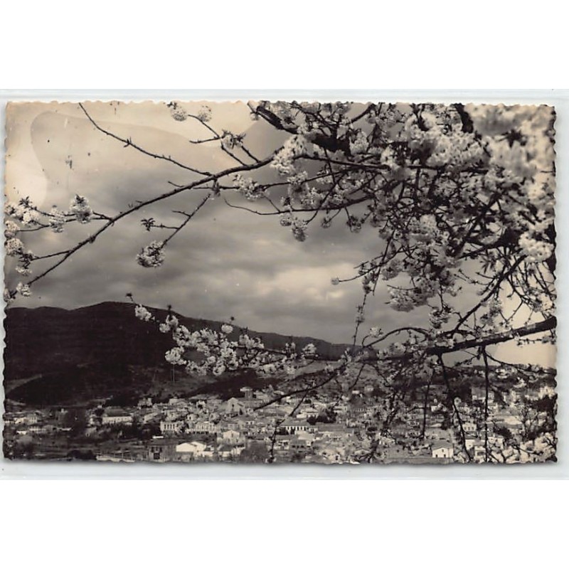 Rare collectable postcards of Spain. Vintage Postcards of Spain