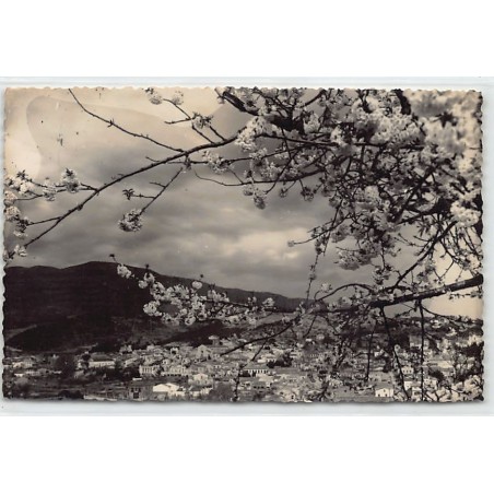 Rare collectable postcards of Spain. Vintage Postcards of Spain