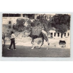 Rare collectable postcards of Spain. Vintage Postcards of Spain