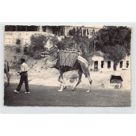 Rare collectable postcards of Spain. Vintage Postcards of Spain