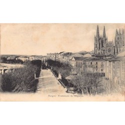 Rare collectable postcards of Spain. Vintage Postcards of Spain