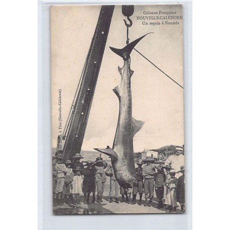 Rare collectable postcards of NEW CALEDONIA. Vintage Postcards of NEW CALEDONIA