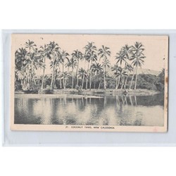 Rare collectable postcards of NEW CALEDONIA. Vintage Postcards of NEW CALEDONIA