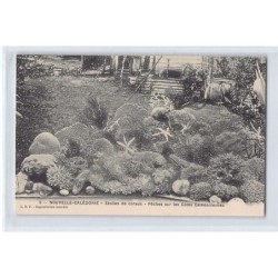 Rare collectable postcards of NEW CALEDONIA. Vintage Postcards of NEW CALEDONIA