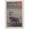 Rare collectable postcards of Spain. Vintage Postcards of Spain