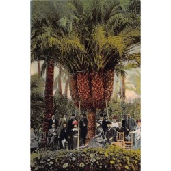 Rare collectable postcards of Spain. Vintage Postcards of Spain
