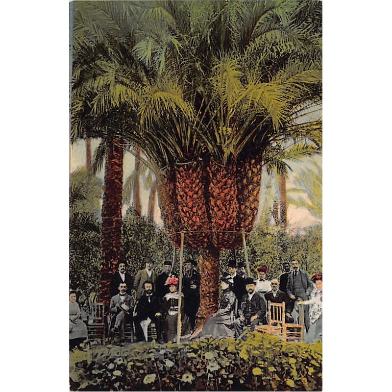 Rare collectable postcards of Spain. Vintage Postcards of Spain