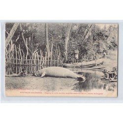 Rare collectable postcards of NEW CALEDONIA. Vintage Postcards of NEW CALEDONIA