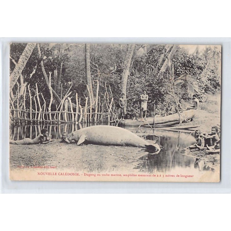 Rare collectable postcards of NEW CALEDONIA. Vintage Postcards of NEW CALEDONIA