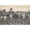 Rare collectable postcards of Spain. Vintage Postcards of Spain
