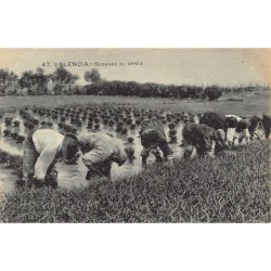 Rare collectable postcards of Spain. Vintage Postcards of Spain