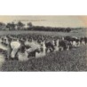 Rare collectable postcards of Spain. Vintage Postcards of Spain