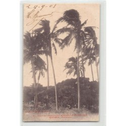 Rare collectable postcards of NEW CALEDONIA. Vintage Postcards of NEW CALEDONIA