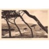 Rare collectable postcards of Spain. Vintage Postcards of Spain