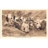 Rare collectable postcards of Spain. Vintage Postcards of Spain