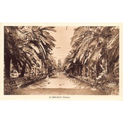 Rare collectable postcards of Spain. Vintage Postcards of Spain