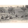 Rare collectable postcards of Spain. Vintage Postcards of Spain