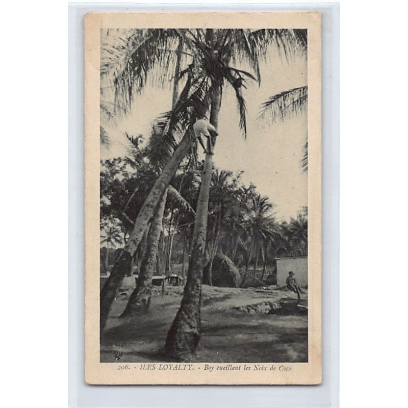 Rare collectable postcards of NEW CALEDONIA. Vintage Postcards of NEW CALEDONIA