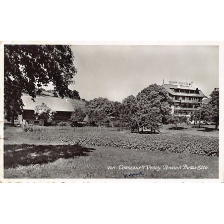 Rare collectable postcards of Switzerland. Vintage Postcards of Switzerland
