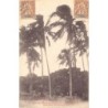 Rare collectable postcards of NEW CALEDONIA. Vintage Postcards of NEW CALEDONIA