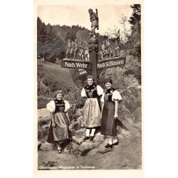 Rare collectable postcards of Germany. Vintage Postcards of Germany