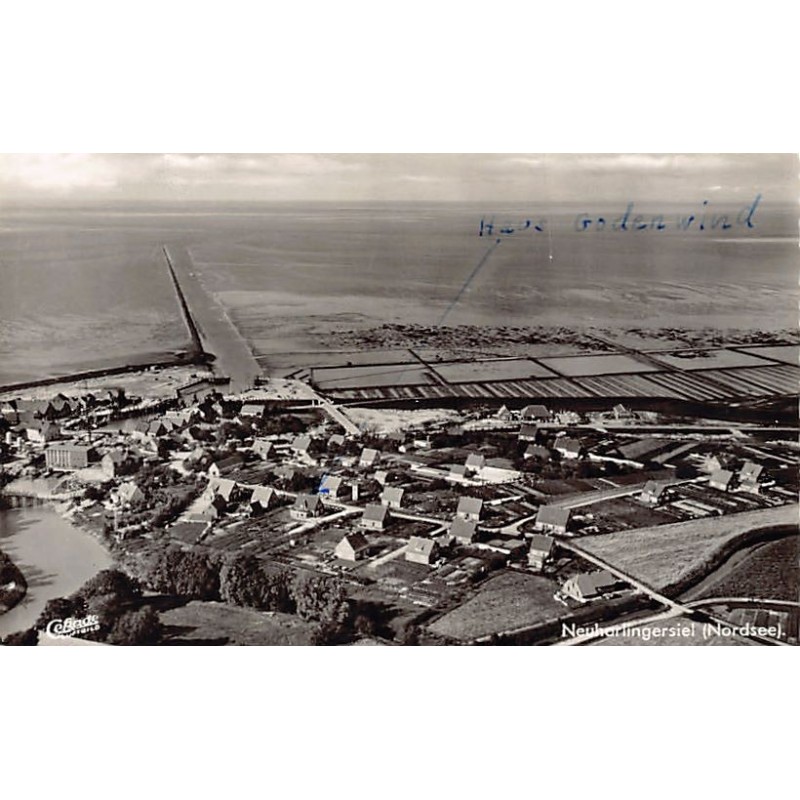 Rare collectable postcards of Germany. Vintage Postcards of Germany