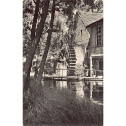 Rare collectable postcards of Germany. Vintage Postcards of Germany