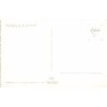 Rare collectable postcards of Germany. Vintage Postcards of Germany